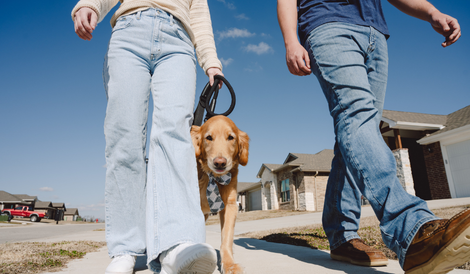 Real Voices: Schuber Mitchell Customer Reviews & Testimonials